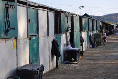 Pro Equine Grooms Biosecurity At Horse Shows