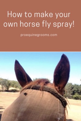 Make Your Own Horse Fly Spray