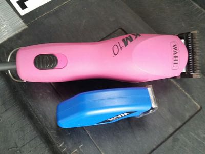 wahl cordless horse clippers