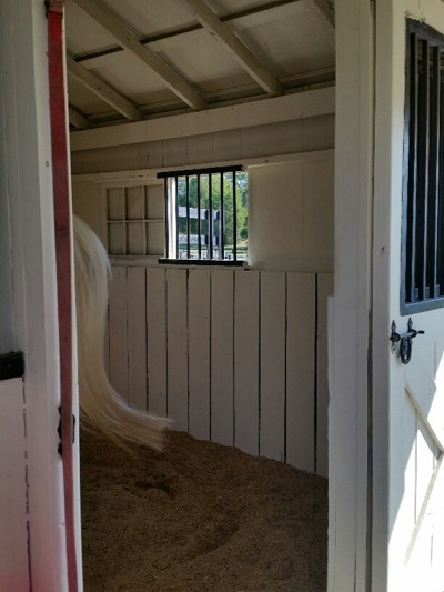 Pro Equine Grooms Cleaning Your Horse S Stall Walls