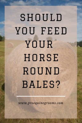 Pro Equine Grooms Are Round Bales Of Hay Best For Horses