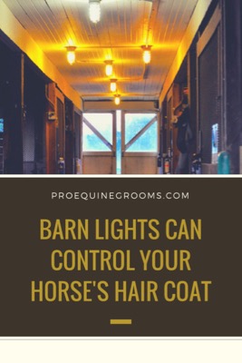 Pro Equine Grooms Using Lights To Regulate Your Horse S Hair Coat
