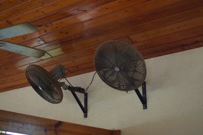 Pro Equine Grooms How To Help Your Horse Deal With Humidity