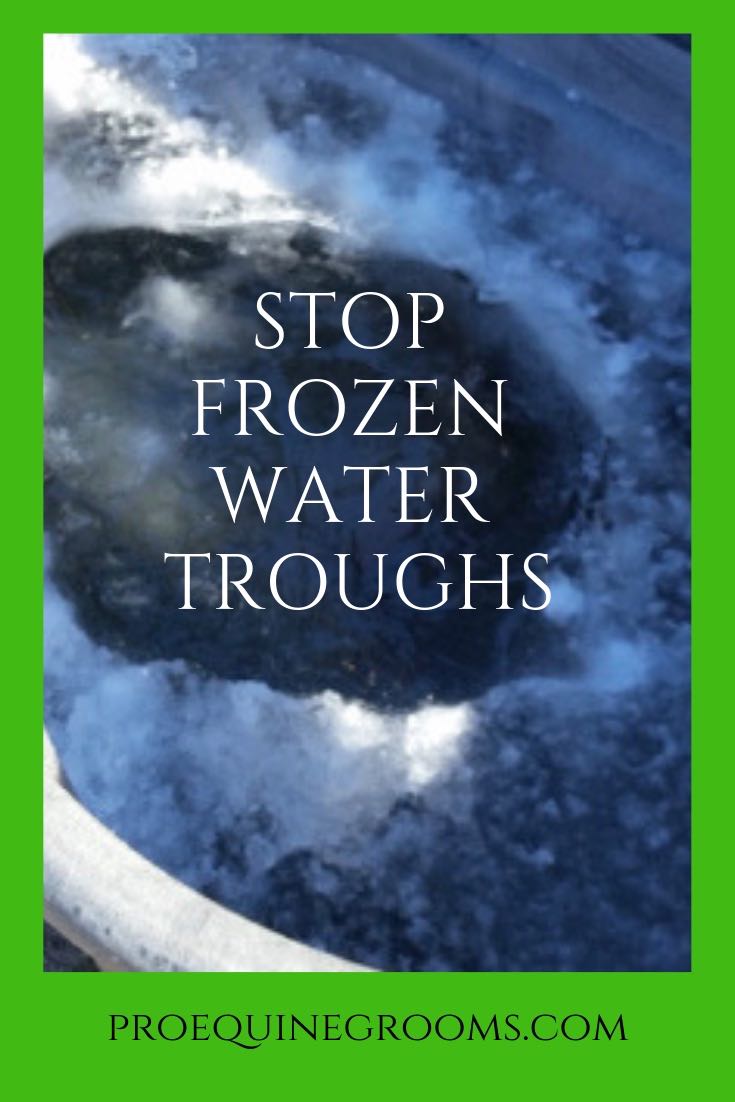 Pro Equine Grooms How to Keep Water Buckets From Freezing at the Barn