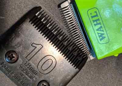 wahl horse clipper blades