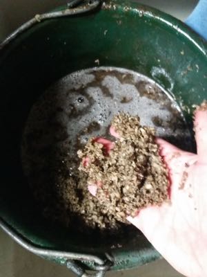 Pro Equine Grooms Stop Your Horse From Bolting His Food