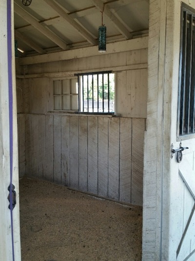 Pro Equine Grooms Cleaning Your Horse S Stall Walls