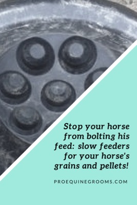 Pro Equine Grooms Stop Your Horse From Bolting His Food